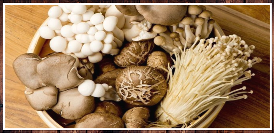 Manfaat Mengkonsumsi Jamur Bagi Kesehatan Tubuh